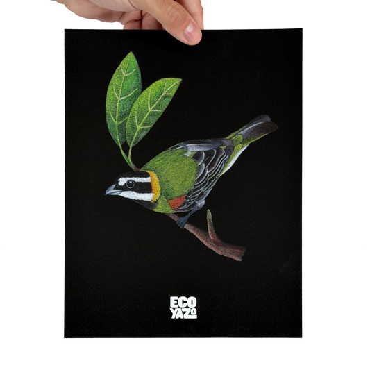 Reina Mora Print