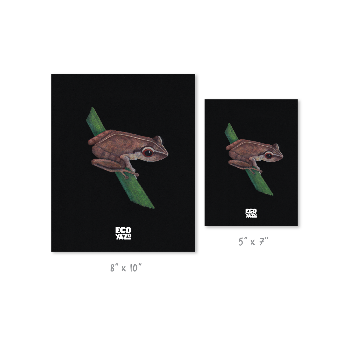 Coquí Print