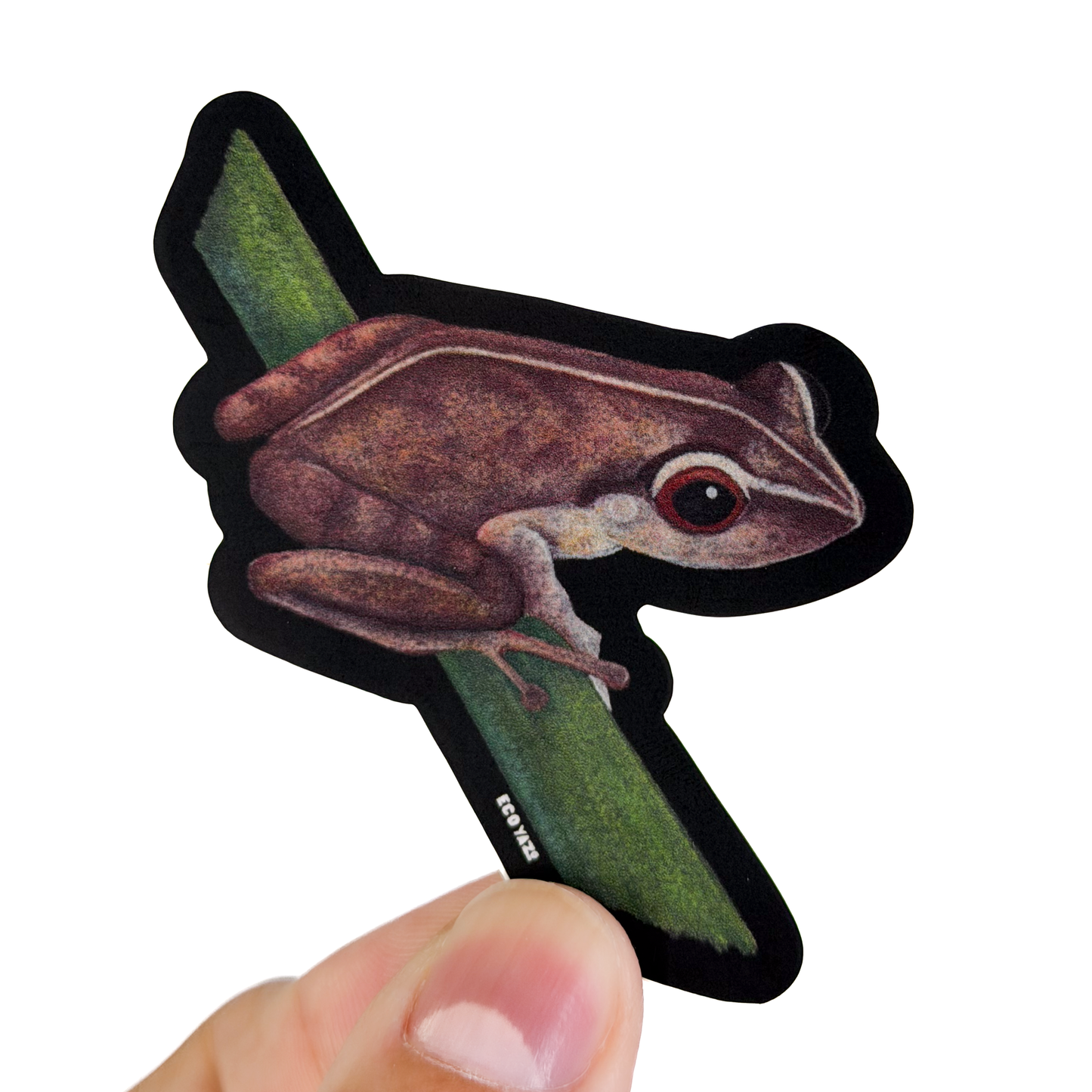 Coquí Sticker