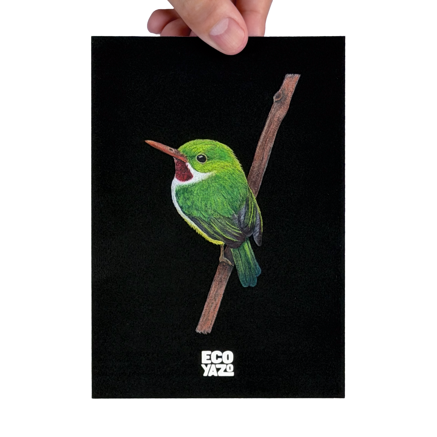 San Pedrito Print