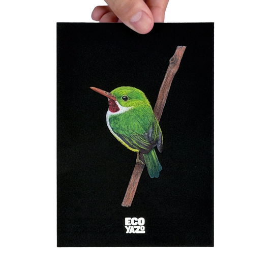San Pedrito Print