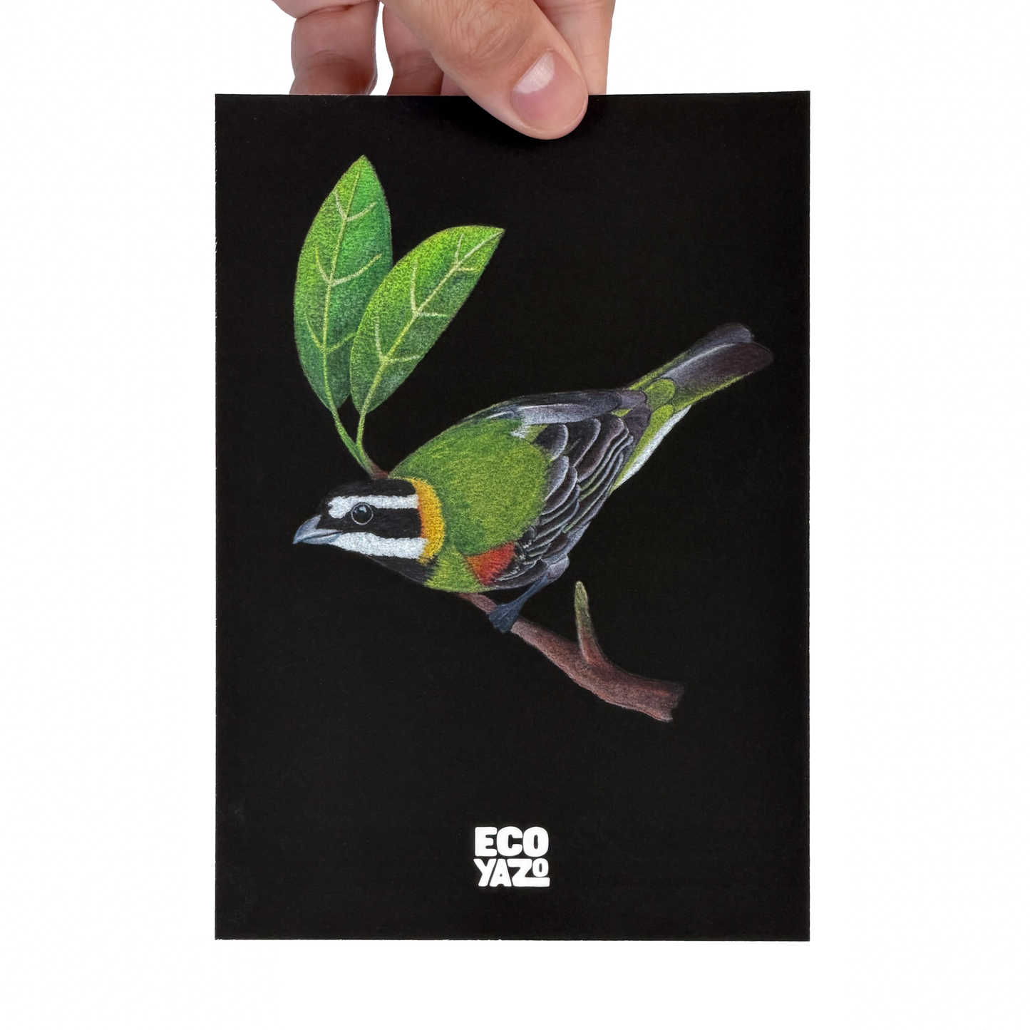 Reina Mora Print