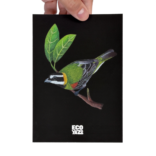 Reina Mora Print
