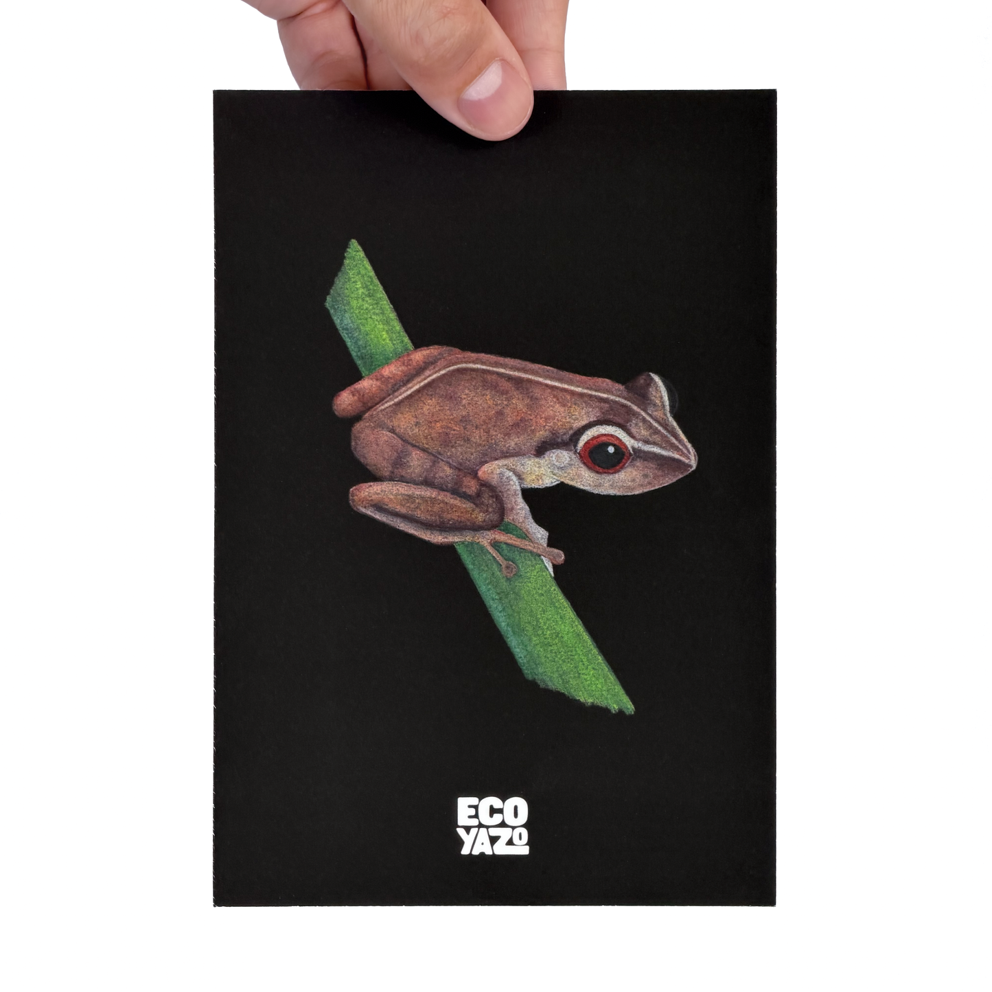 Coquí Print