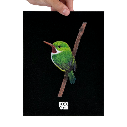 San Pedrito Print