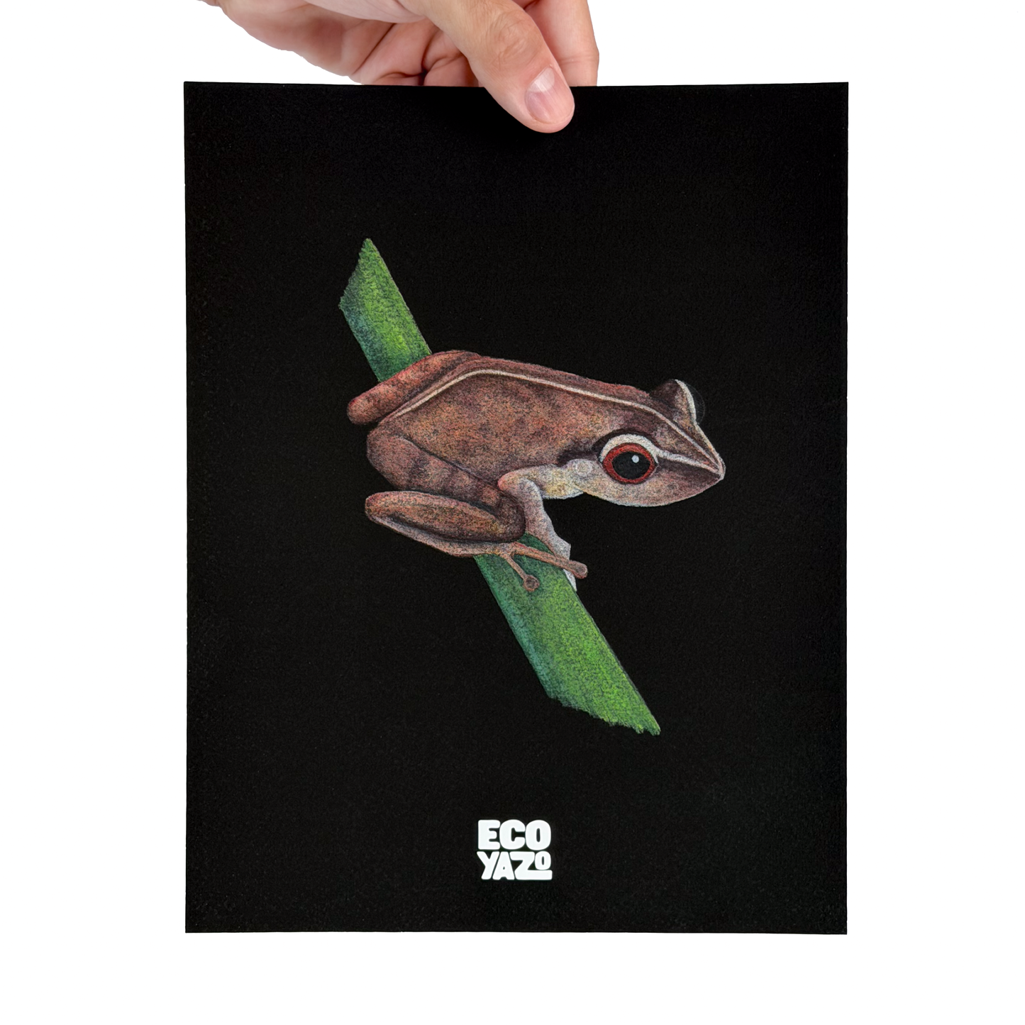 Coquí Print