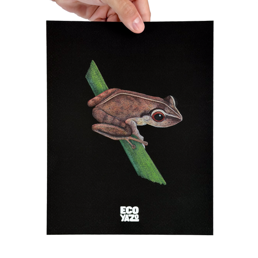 Coquí Print